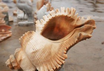 貝殼雕塑，玻璃鋼貝殼雕塑，海洋生物雕塑擺件 (3)