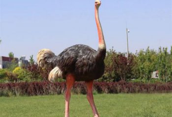 玻璃鋼仿真鴕鳥雕塑廠家，公園廣場動物，大型園林小品