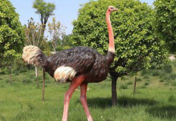 彩繪鴕鳥雕塑廠家，公園廣場動物，大型園林小品