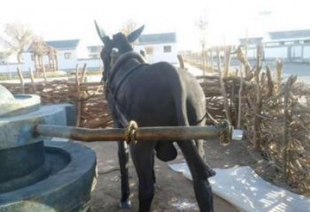 園林毛驢雕塑 田間彩繪雕塑 仿真擺件