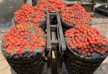 房地產(chǎn)荔枝雕塑 現(xiàn)代景觀擺件 幾何雕塑