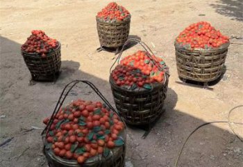 商業街荔枝雕塑 烤漆擺件 彩繪雕塑