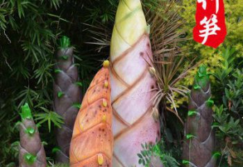 竹筍雕制造商，室外軟裝，不銹鋼竹筍雕塑生產(chǎn)商